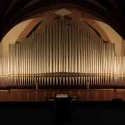 Eule Orgel in der Nicolaikirche ©M. Häntzschel