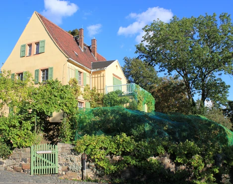 Göschenhaus Grimma mit Göschengarten Das Göschenhaus in Grimma, ein malerisches, gelb gestrichenes Fachwerkhaus, umgeben von üppigem Grün, mit einem blauen Himmel im Hintergrund.