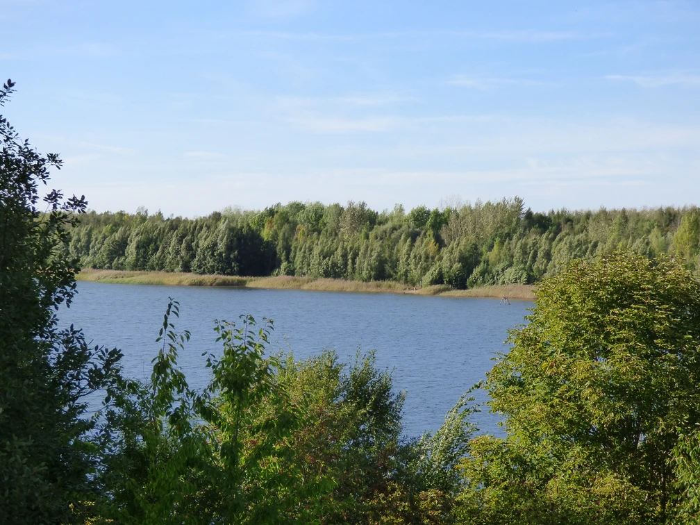 Harthsee