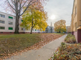 Krochsiedlung im Herbst - Architektur in Leipzig