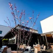 Mediencampus Villa Ida - Veranstaltungen in Leipzig