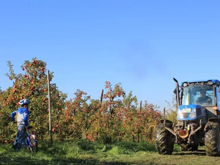 Obstland-Route bei Leisnig