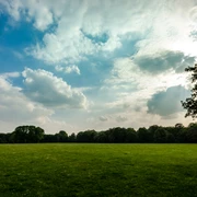 Mariannenpark, Wiese