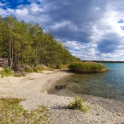 Der Grillensee in Naunhof begeistert mit Natur pur Ein idyllischer See mit sandiger Uferböschung, umgeben von grünen Bäumen und Schilf, unter blauem Himmel.