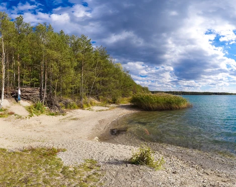 Der Grillensee in Naunhof begeistert mit Natur pur Ein idyllischer See mit sandiger Uferböschung, umgeben von grünen Bäumen und Schilf, unter blauem Himmel.