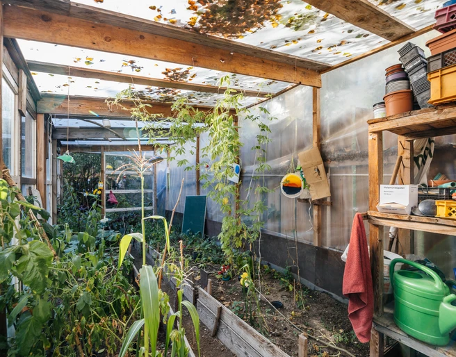 Querbeet; Gewächshaus