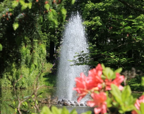 Stadtpark Wurzen ©K. Lange