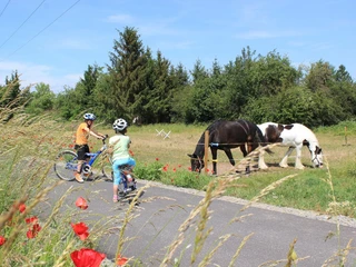 Mulderadweg bei Thallwitz