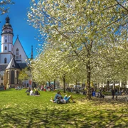 Wiese vor der Thomaskirche Leipzig - Erlebnisse und Touren in Leipzig
