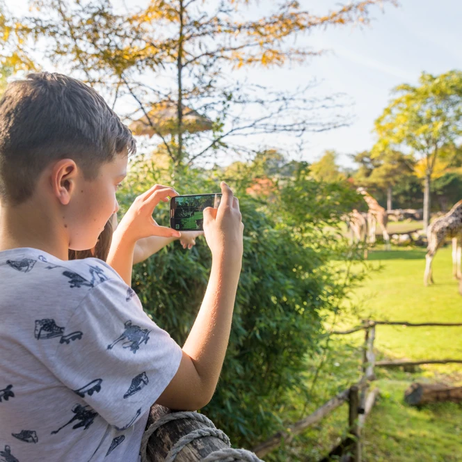Zoo Leipzig mit Blick auf das Giraffengehege - Leipzig mit Kindern