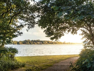 Natur pur am Banter See