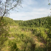Entlang der Grube 7 bei Haan-Gruiten Üppige grüne Wälder umrahmen die sanft geschwungene Landschaft entlang der Grube 7 bei Haan-Gruiten.