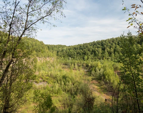 Entlang der Grube 7 bei Haan-Gruiten Üppige grüne Wälder umrahmen die sanft geschwungene Landschaft entlang der Grube 7 bei Haan-Gruiten.