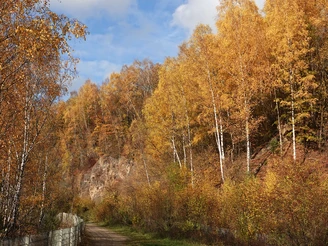 Herbstlicher Spaziergang entlang der Grube 7 bei Haan-Gruiten Bunter Herbstwald mit Weg und blauem Himmel bei Grube 7 in Haan-Gruiten.