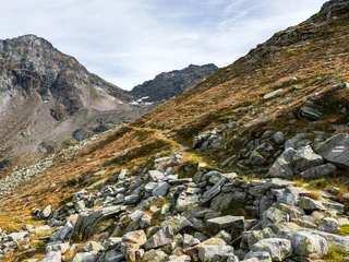 furggubäum2.jpg