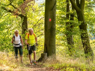 Entlang Wälder am neanderland STEIG Zwei Menschen wandern mit Nordic Walking-Stöcken auf einem Waldweg, umgeben von grünen Bäumen.