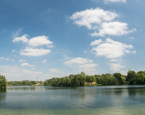 Grüner See im Erholungspark Volkardey in Ratingen Ein klarer See umgeben von dicht bewaldeten Ufern, mit einem strahlend blauen Himmel darüber.