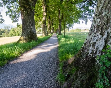 Kottmüllerallee @Simon BAuer.jpg