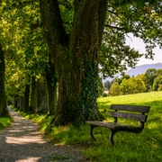 Kottmüller Allee_Sommer@thomas Rychly.jpg