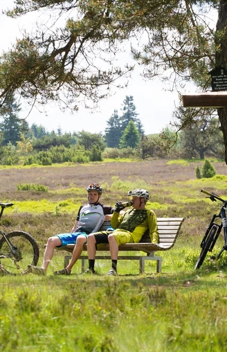 Rast auf der Hochheide