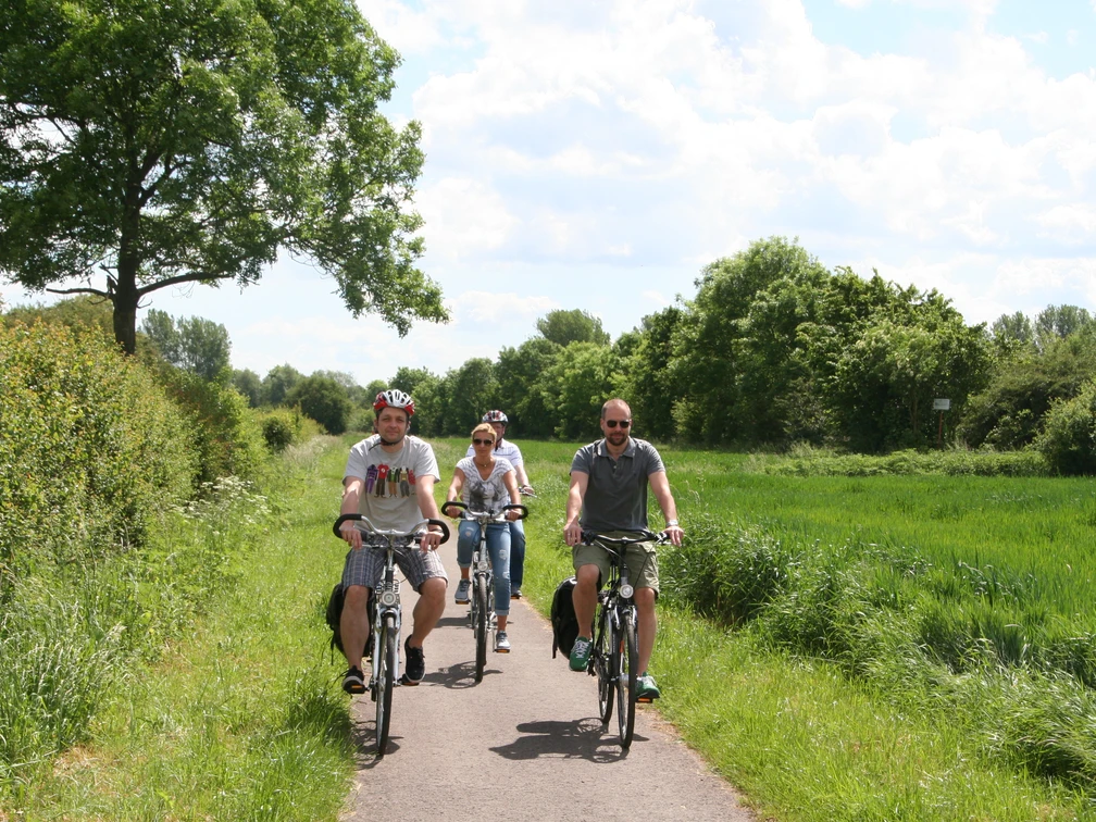 Die Weyer Tour mit dem Rad Radfahrer auf einem sonnigen Feldweg umgeben von grüner Natur mit blauen Himmel bei der Weyer Tour.