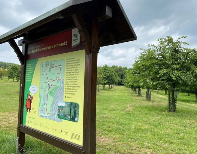 Lehrpfadschild.jpg Informationstafel mit Wanderkarte in einer grünen Wiesenlandschaft unter leicht bewölktem Himmel.