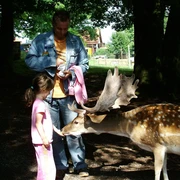 Meißner_Bergwildpark