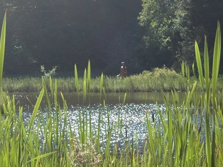 Frau-Holle-Teich