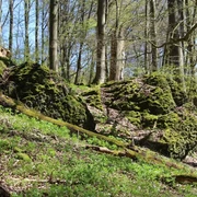 Reste der Altenburg