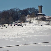 Schlittenwiese am Knüllköpfchen