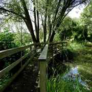 Kurpark Bad Emstal Brücke im Rosen-Garten