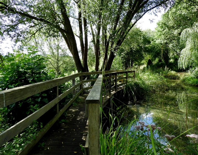 Kurpark Bad Emstal Brücke im Rosen-Garten