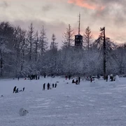Schlittenfahren bis zum Sonnenuntergang