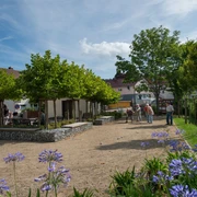 Naumburg Boule 2012 08 23 6303 Blofield