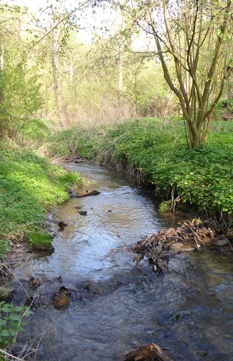 SunderbachtaI