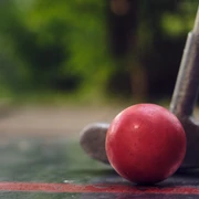 mini golf 4494100
