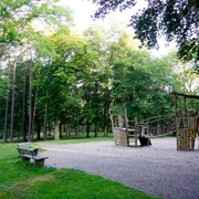Tannenwaeldchen