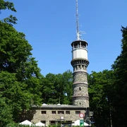 NPHabichtswald Depenbrock HohesGras