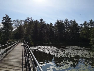 Inselteich