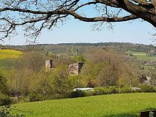 Burgruine Wallenstein eingebettet in der Landschaft