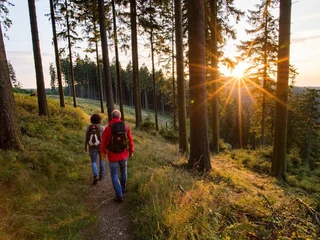 Wanderer auf dem Rothaarsteig