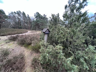 Stempelhäuschen-Borsteler-Heide-1-Winter-2022-ccbysa-foto©bispingen-touristik.jpg
