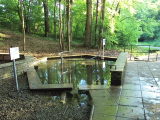Wassertretbecken Plüneckenbrunnen in Salzgitter-Bad