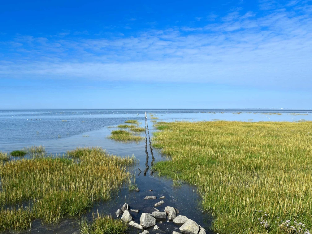 Trischendamm Friedrichskoog Trischendamm Friedrichskoog