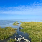 Trischendamm Friedrichskoog Trischendamm Friedrichskoog