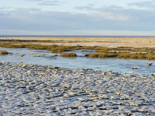 Cappel Neufeld Steg Watt Winter Salzwiese Schnee (29).jpg