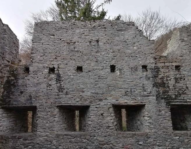 ruine-unspunnen-innenhof.jpg