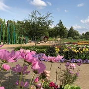 Blick auf Blütenpracht und Spielplatz im Gartenschaupark Rietberg
