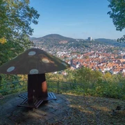 R1 Plilzchen