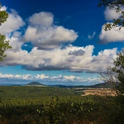 Blick von Burg Falkenstein